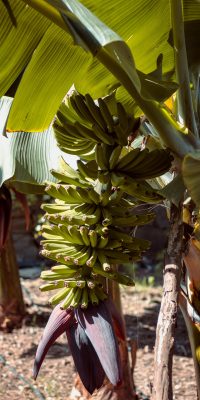 pexels-jonas-von-werne-2168838